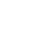 Instagram Icon - hallermobil
