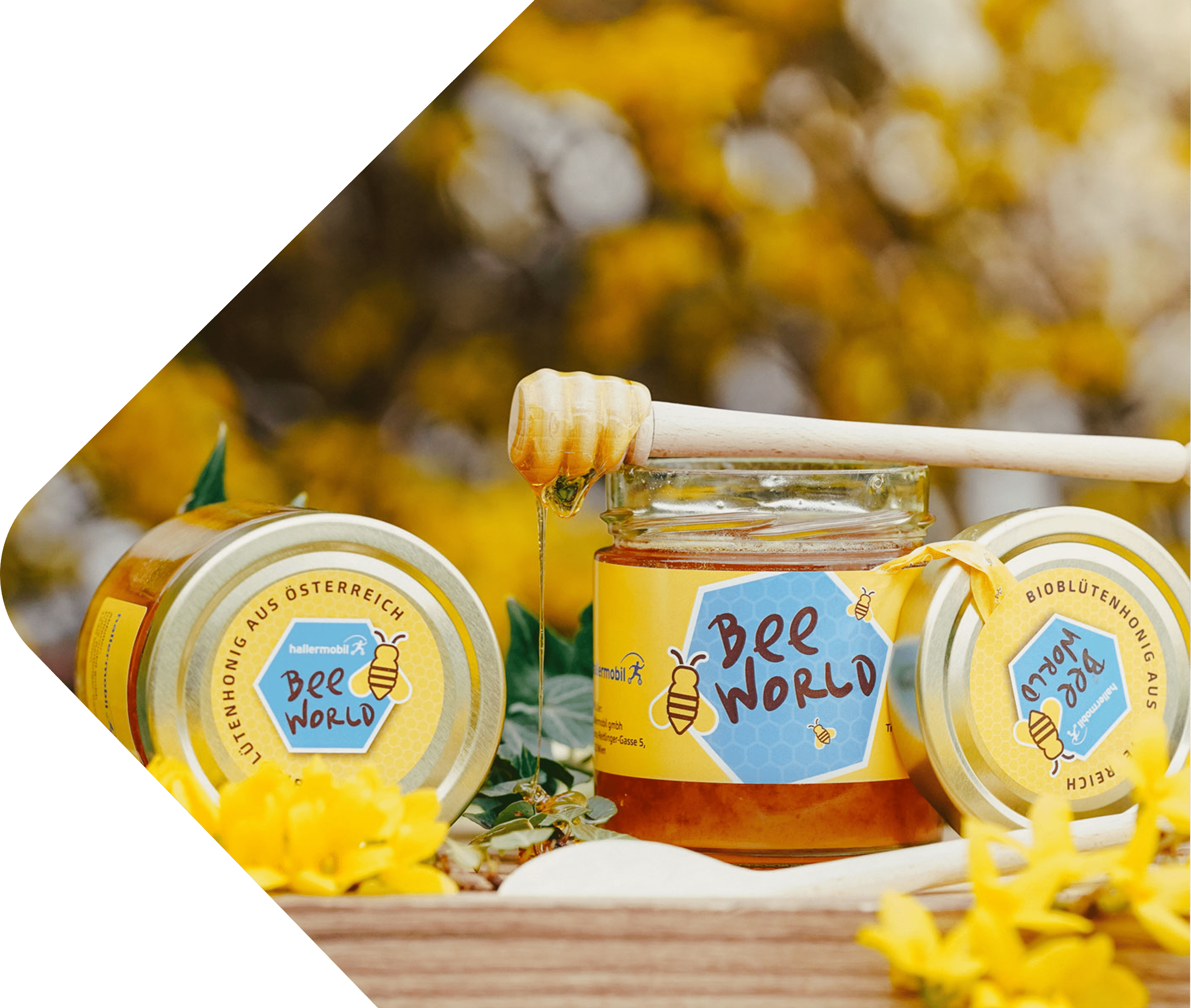 hallermobil - bee world